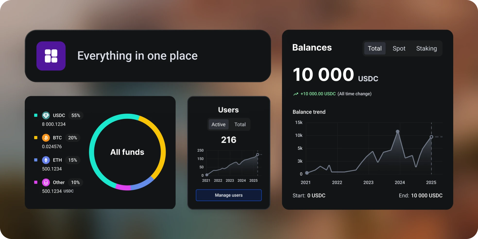 Financial operations dashboard preview showing fragmented balances and users